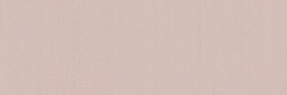 NizVotes's profile banner image