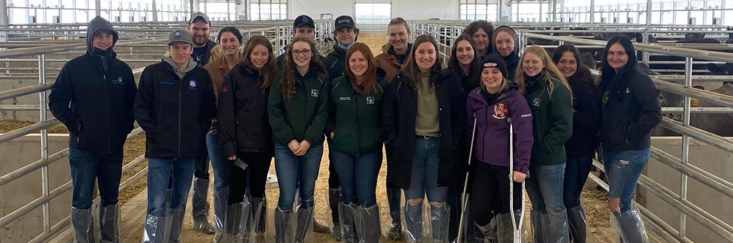 OAC Beef Club banner