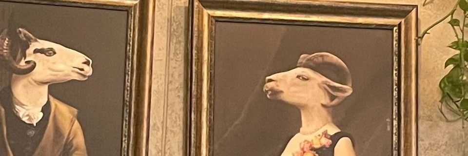 Jhhasmin's profile banner image