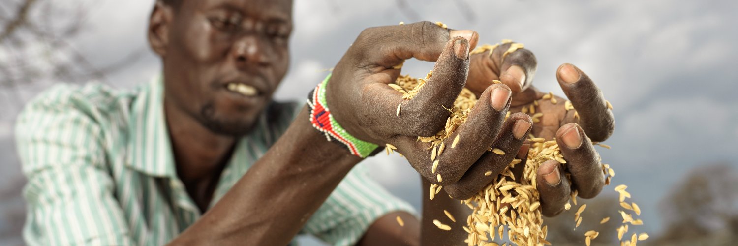 ACFinZambia's profile banner image
