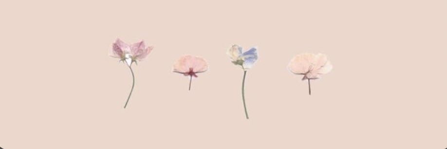 Alba__cM's profile banner image