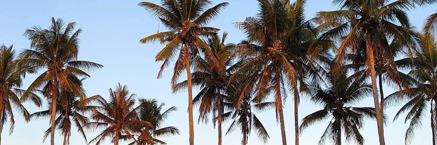 afibrn_'s profile banner image