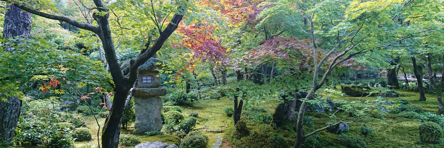 まっぴい banner