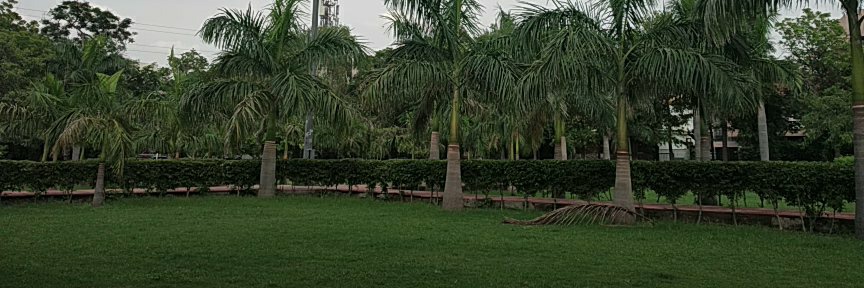 SonamMat's profile banner image