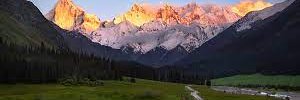 FreebirdIsa2000's profile banner image