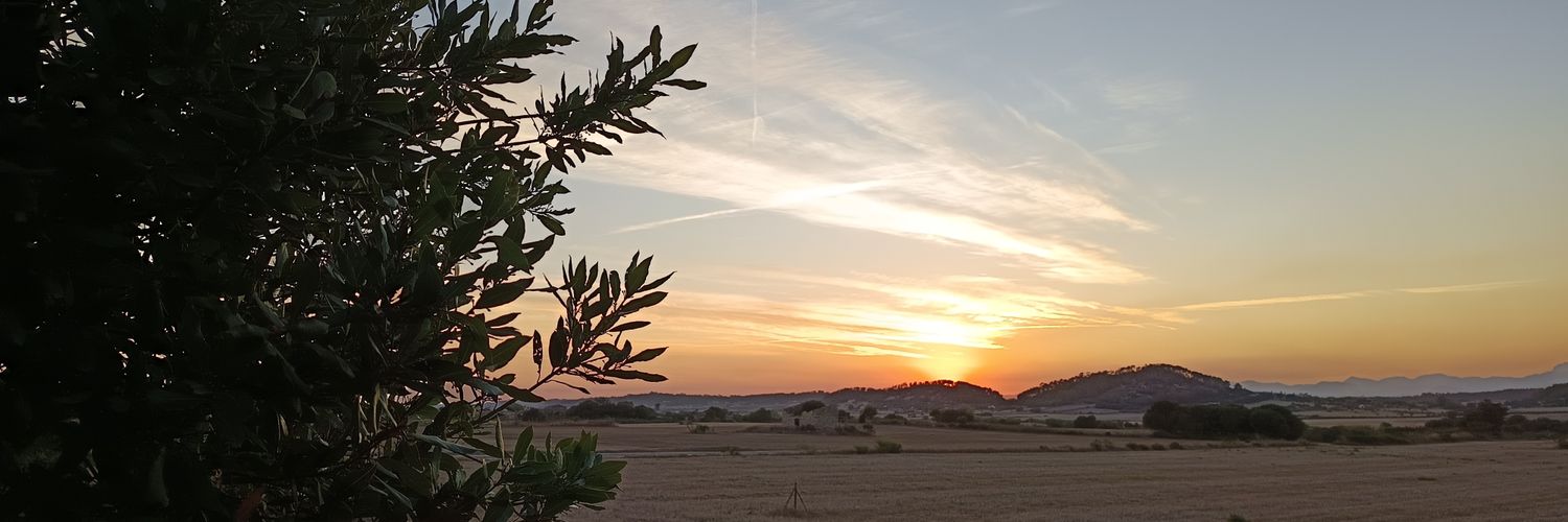 ColomaFuster's profile banner image