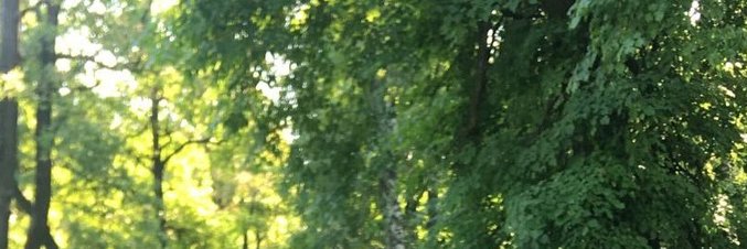 JuIieTHoward's profile banner image