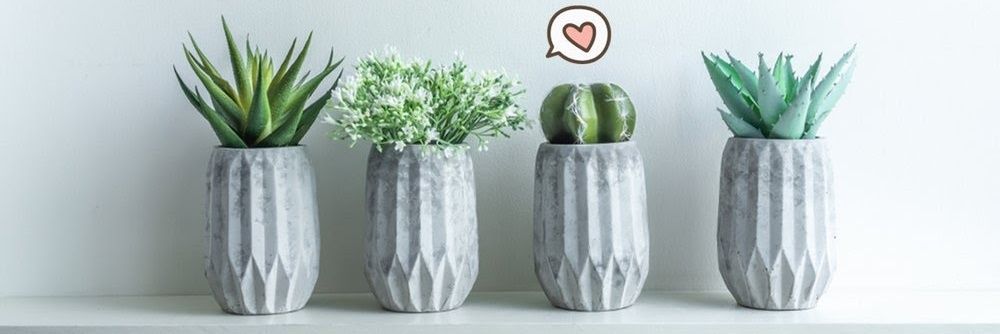 🌵 xerophile 🌵 banner