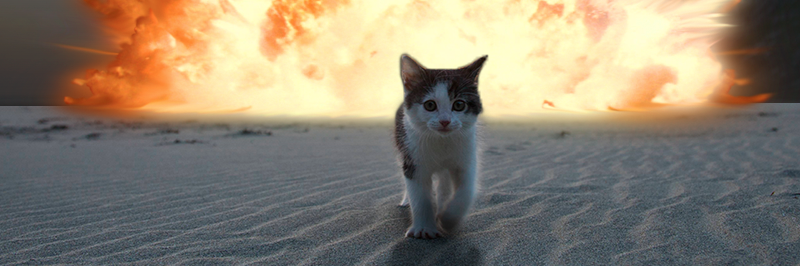 Marjut Ollitervo ∞ banner