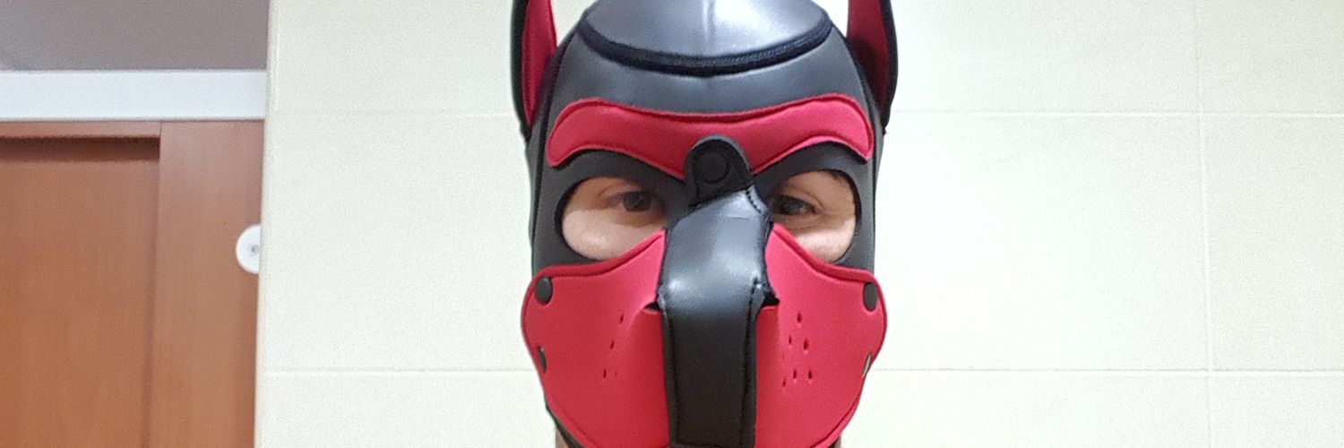 NDstyles28's profile banner image
