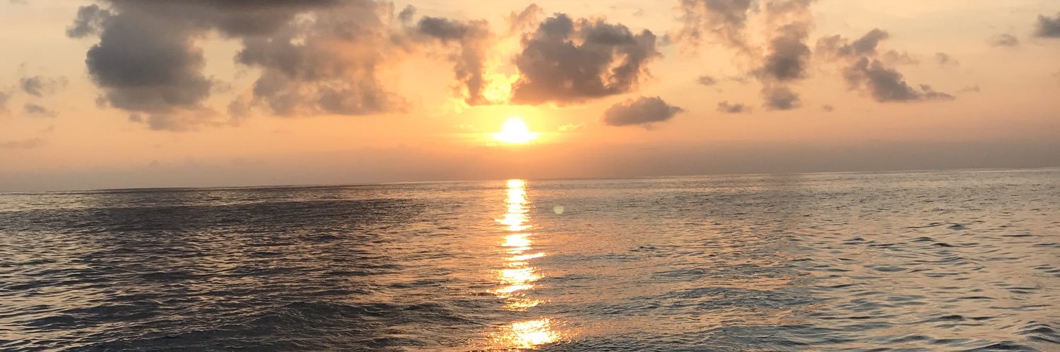CeptaCeptar's profile banner image