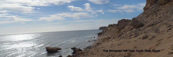 TodaysComments Profile Banner