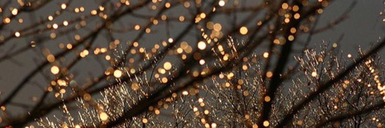 𐌌ahi ✨🍉 banner