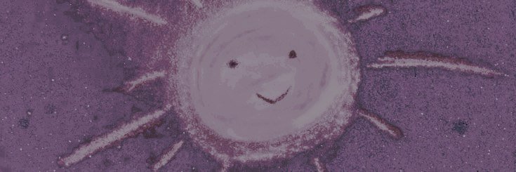 littIbear's profile banner image