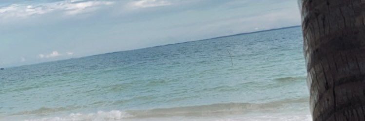 malvinjunio's profile banner image