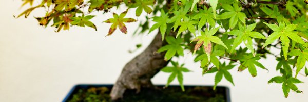 aaronsylvan Profile Banner