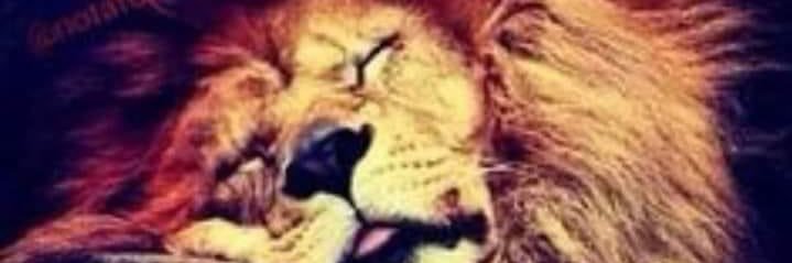 royal_empress's profile banner image