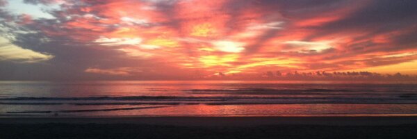 margiebear Profile Banner