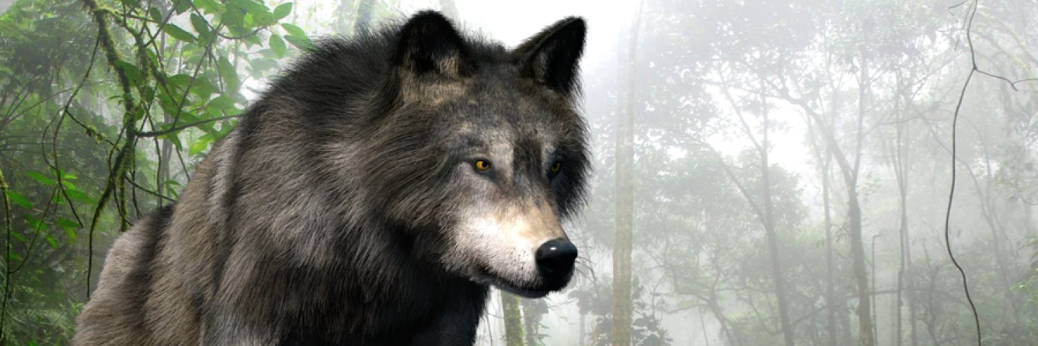 Paulariverost's profile banner image
