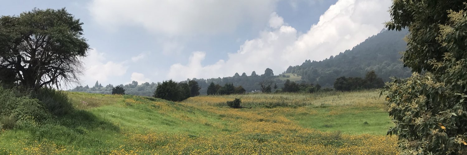 Mauro Uzcategui banner