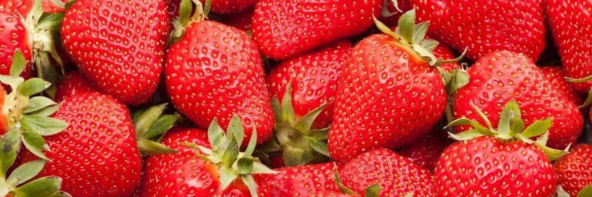 🐸Sunny=D🔞 banner