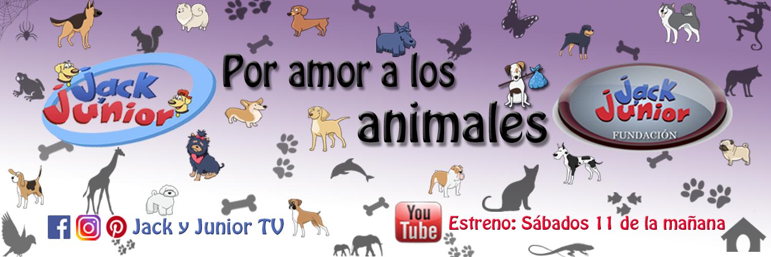 jackyjuniortv's profile banner image