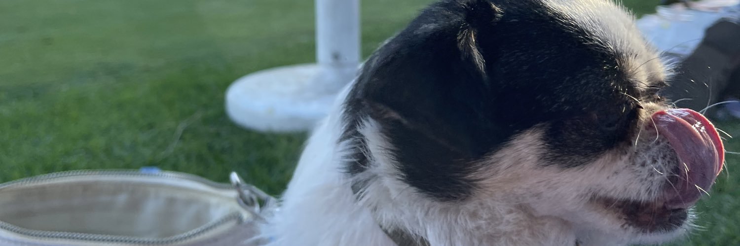 realsydsmith's profile banner image