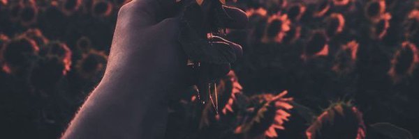 m5l66 Profile Banner
