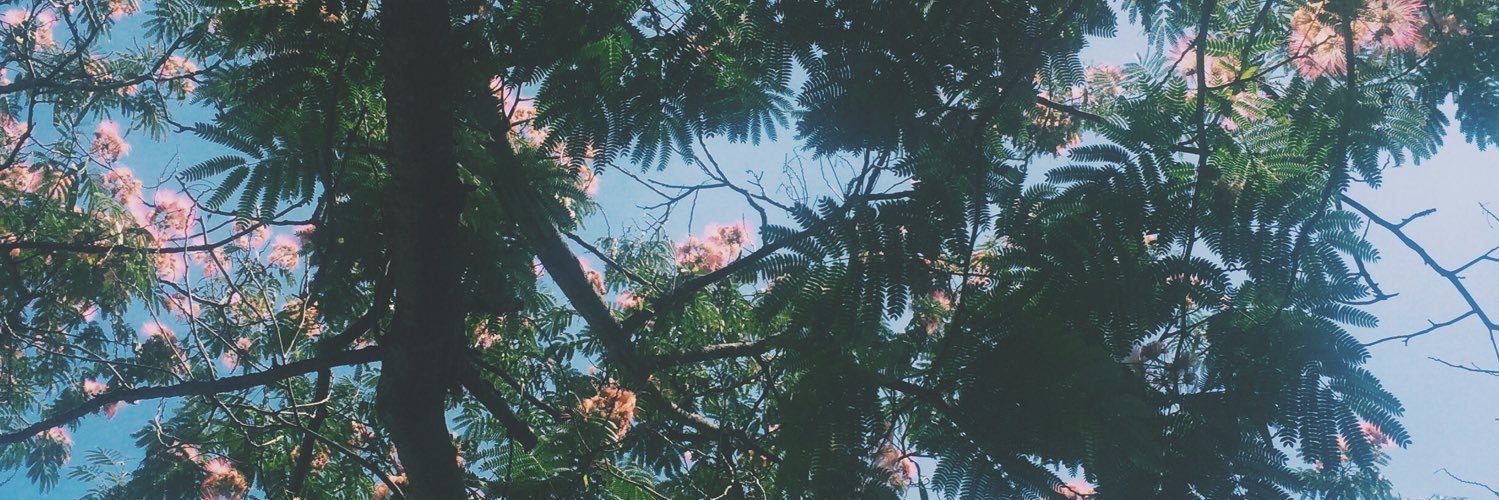 Shriiya_'s profile banner image