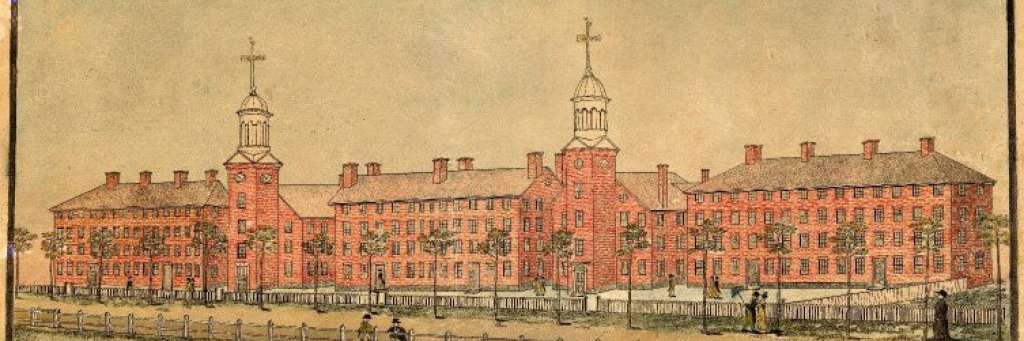 Dr Monkey Business * banner