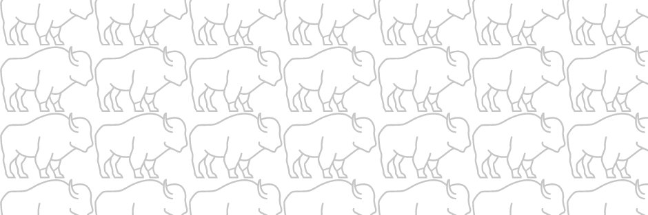 THE Bison Bench banner