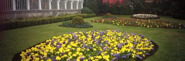 KimLenaghan Profile Banner