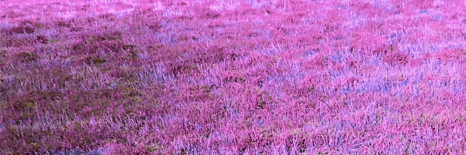 ErisSoundsMusic's profile banner image