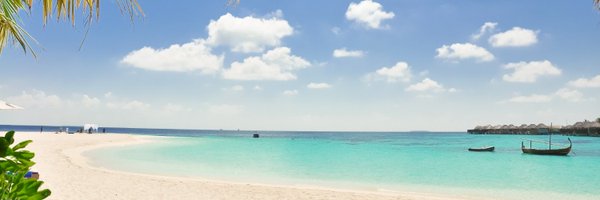 TheFlanimations Profile Banner