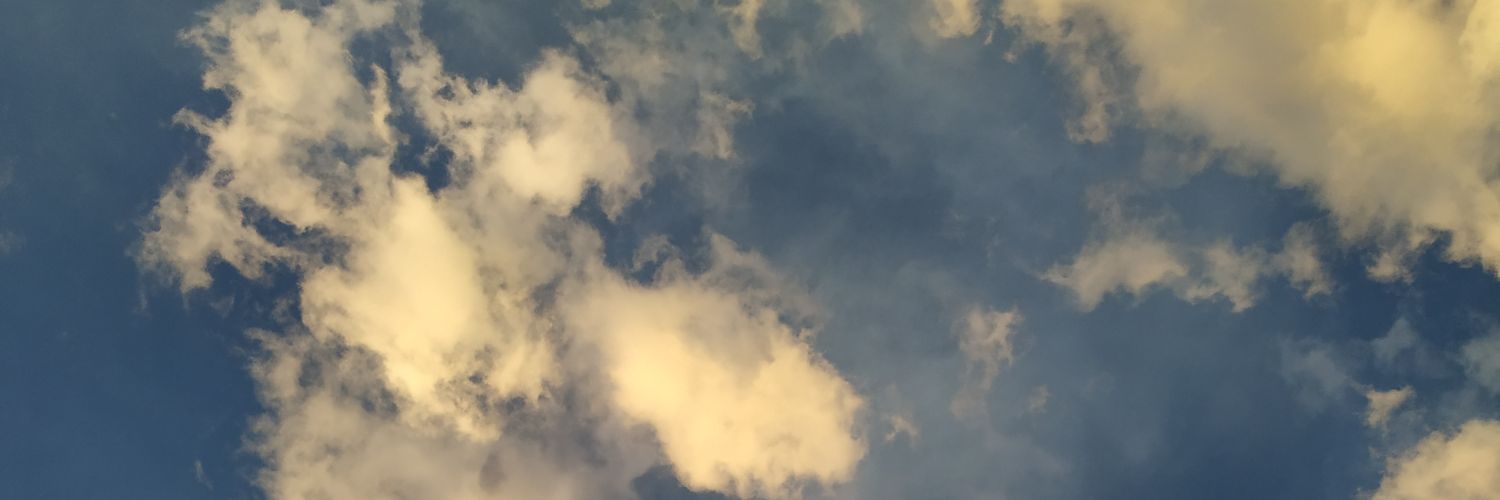 loboybetsw banner