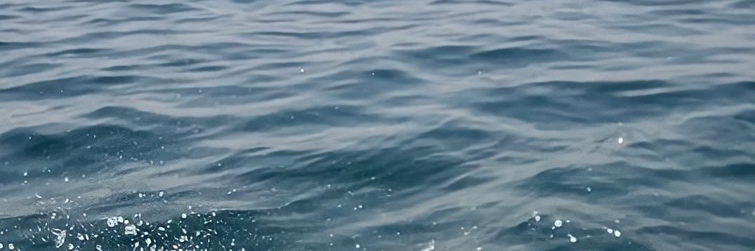 bbydonutt's profile banner image
