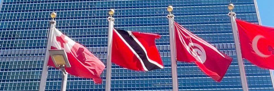 Permanent Mission of Trinidad and Tobago to the UN banner