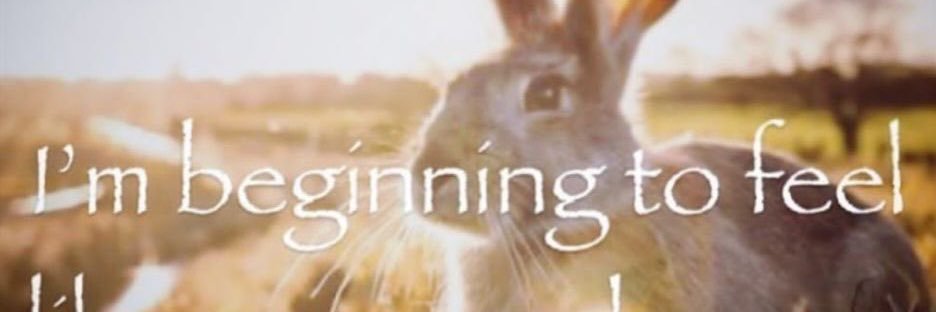 SLASHER's banner