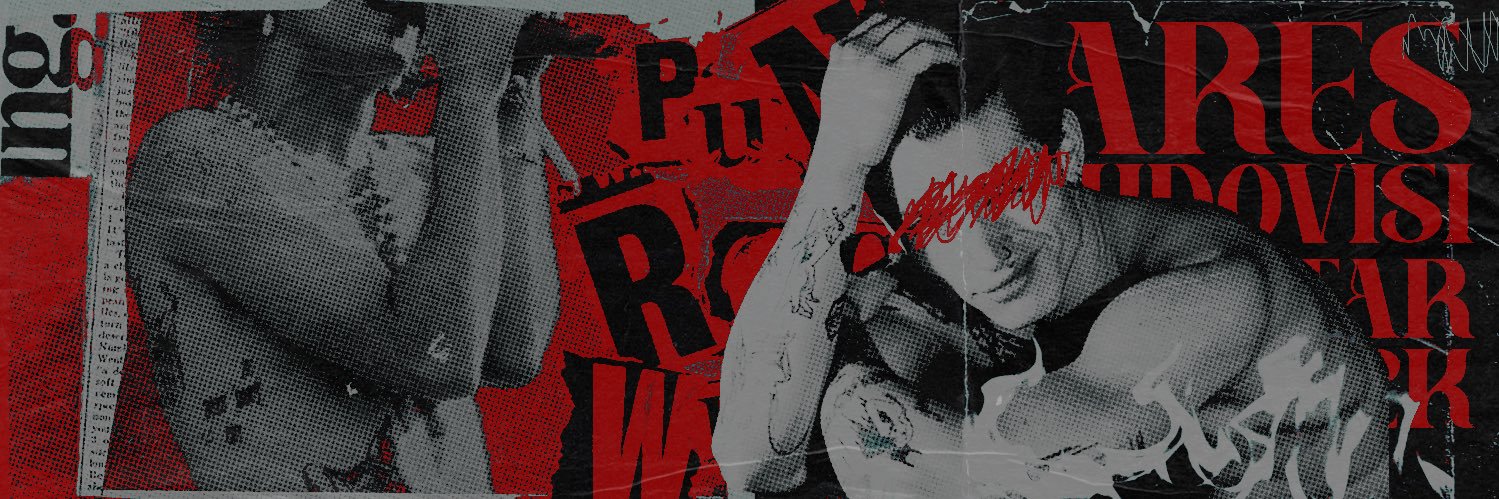 ✘✘ 𝔏ION ̶T̶A̶M̶E̶R̶ .ᐟ ALT . banner
