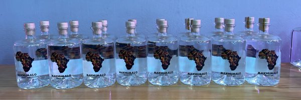 theseerheals Profile Banner