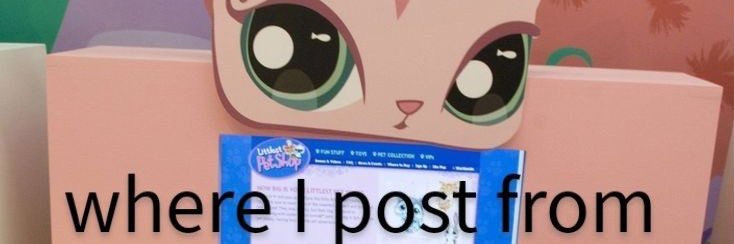 ｡🐚❀˖° 𝐹𝑒𝓁𝒾𝒸𝒾𝓉𝓎°🐚❀˖°'s banner