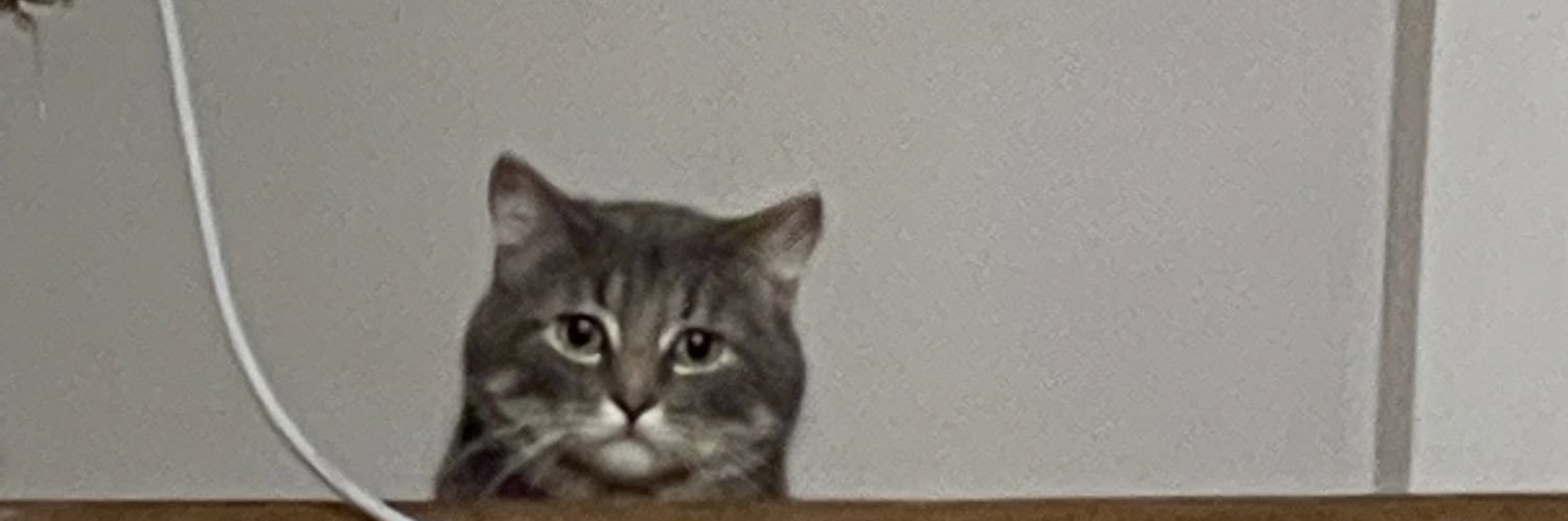 nixdacryptid's profile banner image