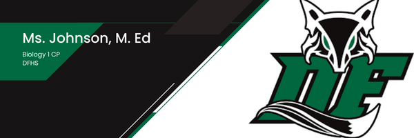 13MsJohnson13's profile banner image