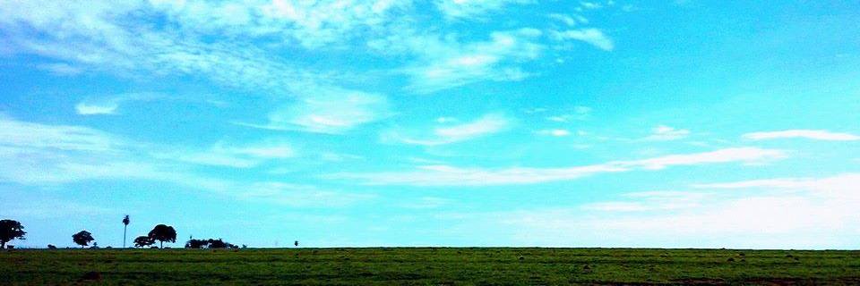 maxmunizmax's profile banner image