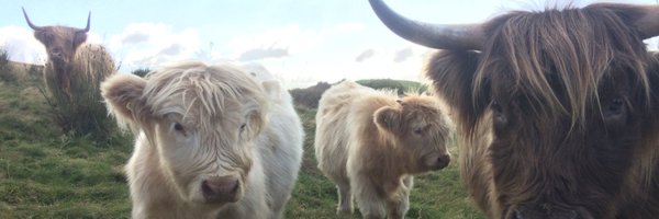 ITVCountrywise Profile Banner