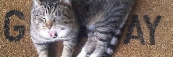 __binaryeffects Profile Banner