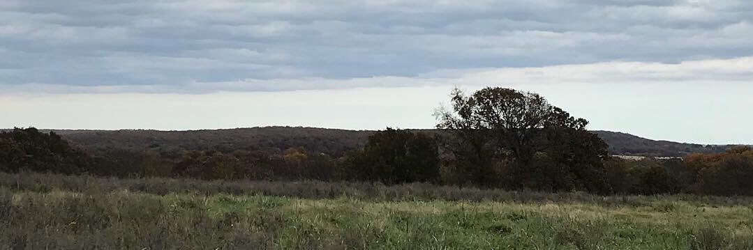 Beecher_W's profile banner image