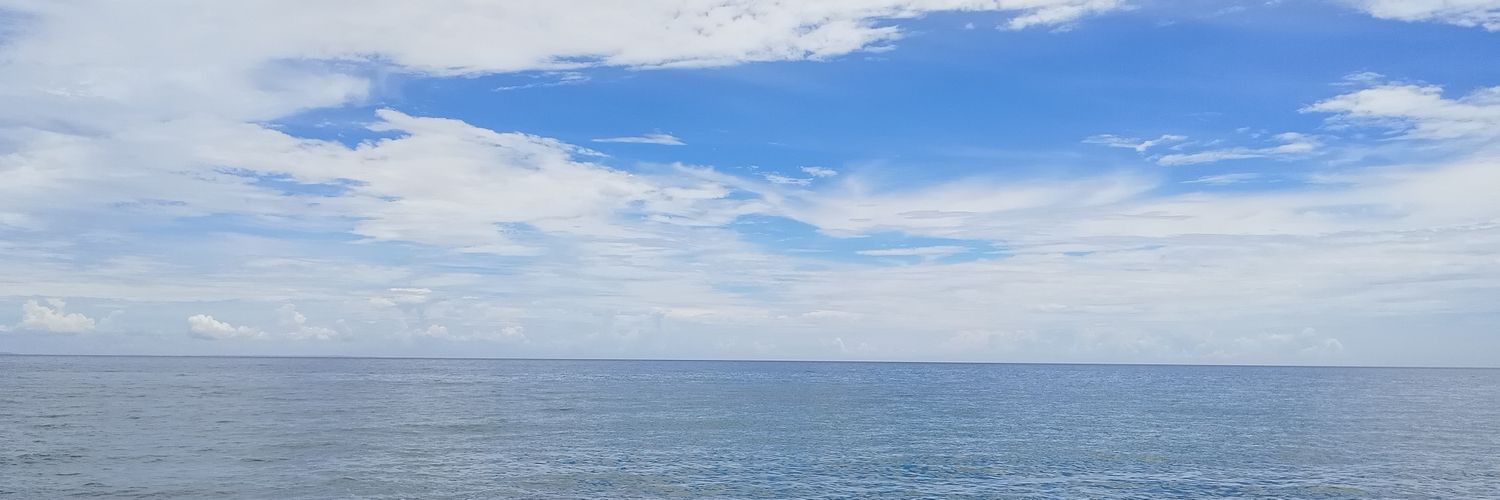 Neweesst's profile banner image