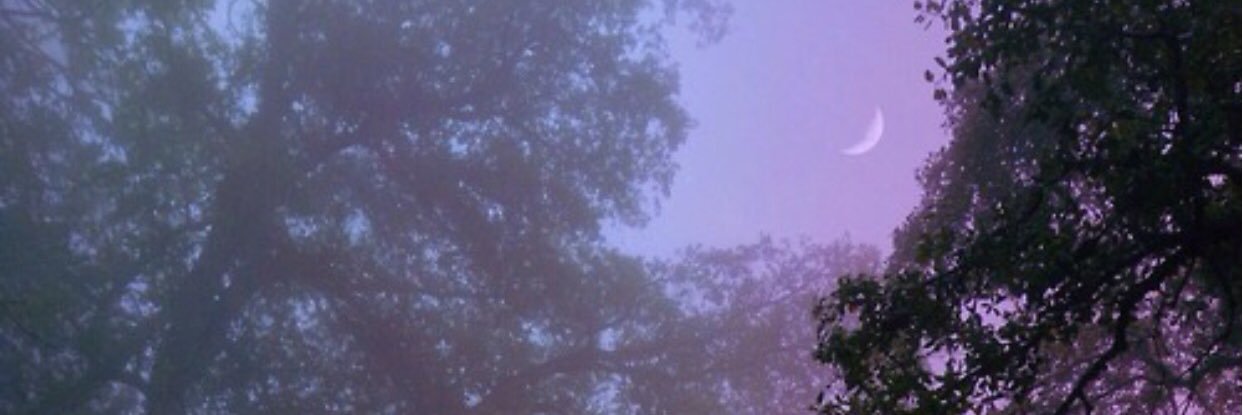 mskimbo's profile banner image