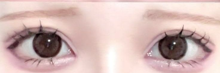 flesh strippers banner